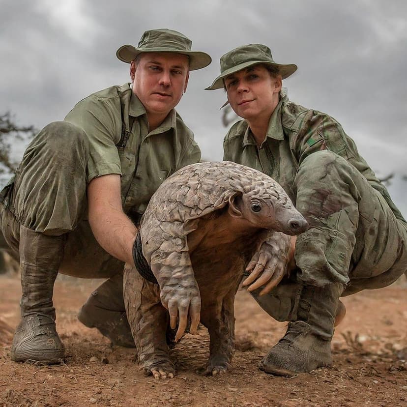 Combating Illegal Wildlife Trade